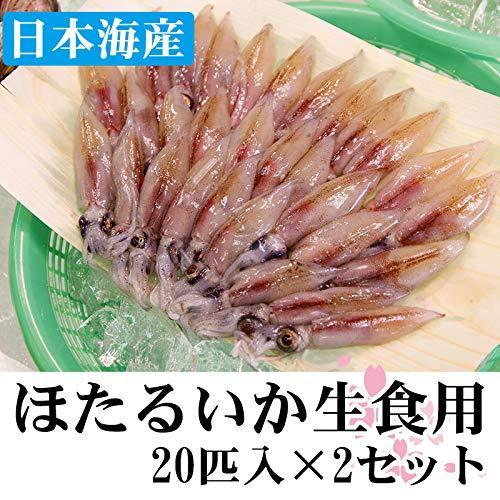 送料無料 激安 お買い得 キ フト これぞ山陰 ほたるいか珍味セット ホタルイカの醤油漬け ほたるいかの素干し 生食用ほたるいか