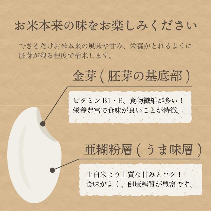 無洗米 新潟県産 コシヒカリ 特別栽培米 10kg 令和5年産 新米 こしひかり 10キロ 農家直送 減農薬｜magosaku-food｜14