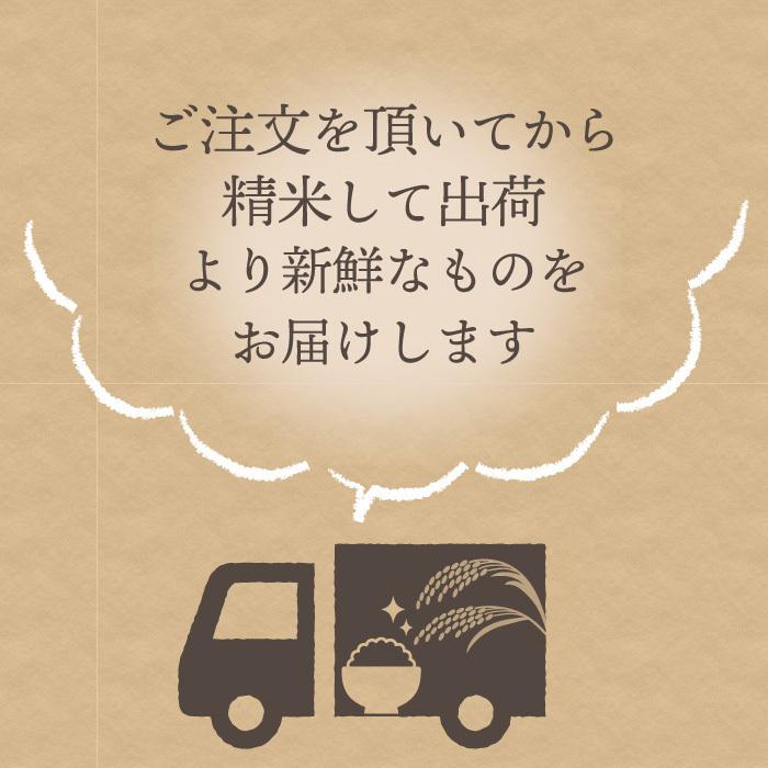 無洗米 新潟県産 コシヒカリ 特別栽培米 10kg 令和5年産 新米 こしひかり 10キロ 農家直送 減農薬｜magosaku-food｜15