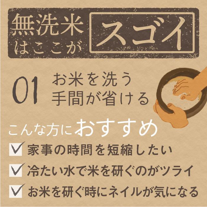 無洗米 新潟県産 コシヒカリ 特別栽培米 10kg 令和5年産 新米 こしひかり 10キロ 農家直送 減農薬｜magosaku-food｜03