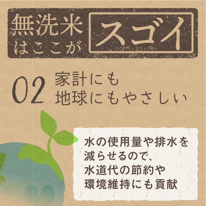 無洗米 新潟県産 コシヒカリ 特別栽培米 10kg 令和5年産 新米 こしひかり 10キロ 農家直送 減農薬｜magosaku-food｜04