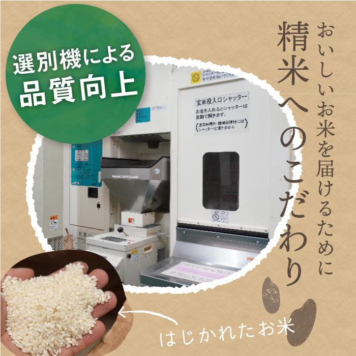 無洗米 新潟県産 コシヒカリ 特別栽培米 10kg 令和5年産 新米 こしひかり 10キロ 農家直送 減農薬｜magosaku-food｜08