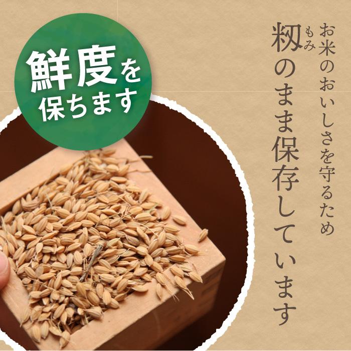 新潟県産 コシヒカリ 特別栽培米 10kg 令和5年産 新米 こしひかり 10キロ 農家直送 減農薬 お米 精米｜magosaku-food｜05