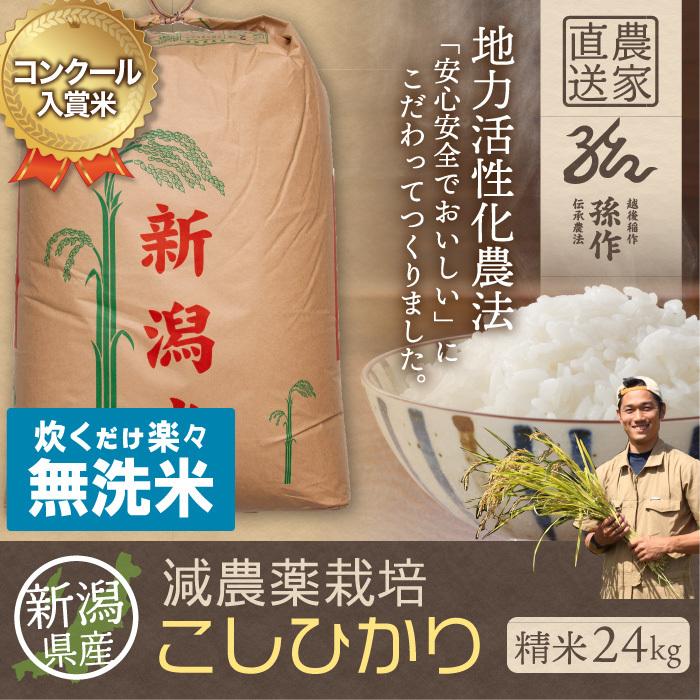 無洗米 減農薬栽培米 コシヒカリ 精米 24Kg 新潟県産 こしひかり うるち米（無洗米）