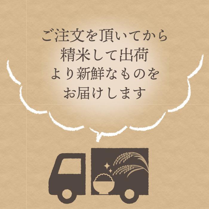 新潟県産 コシヒカリ 特別栽培米 24kg 令和6年産 新米 新潟県産 コシヒカリ 特別栽培米 24kg 令和6年産 新米