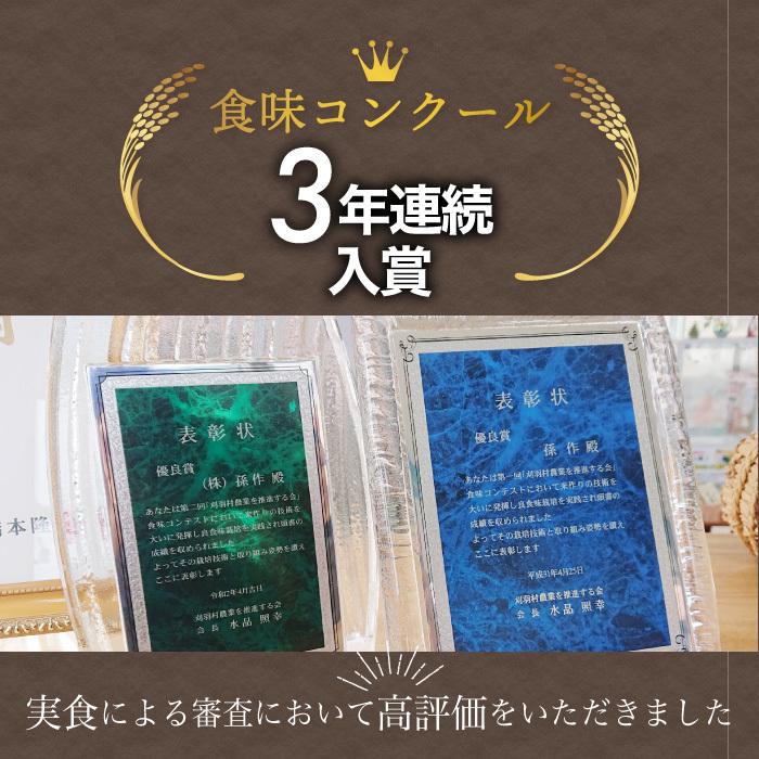 新潟県産 コシヒカリ 特別栽培米 24kg 令和6年産 新米 新潟県産 コシヒカリ 特別栽培米 24kg 令和6年産 新米