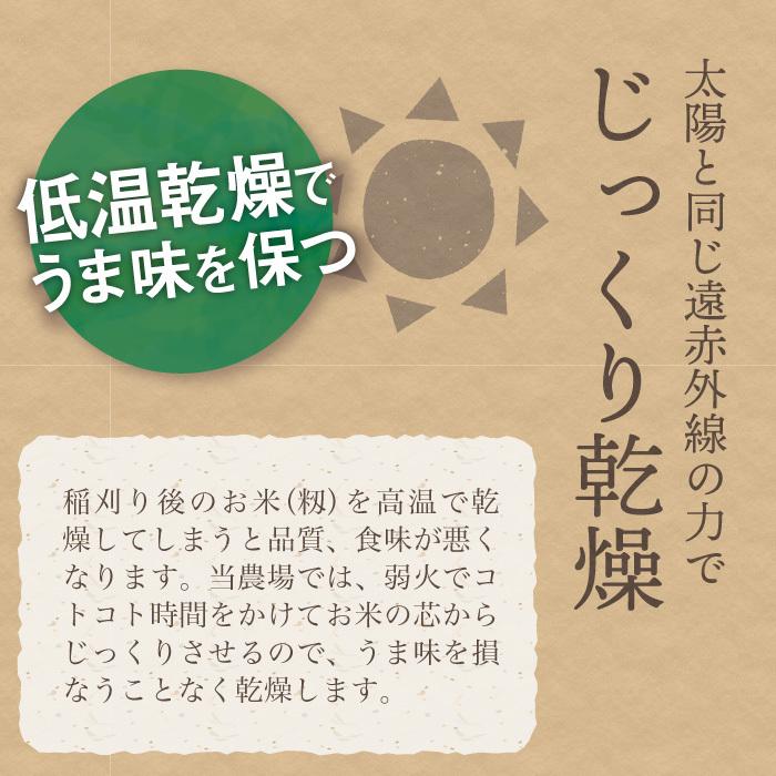 新潟県産 コシヒカリ 特別栽培米 24kg 令和6年産 新米 新潟県産 コシヒカリ 特別栽培米 24kg 令和6年産 新米