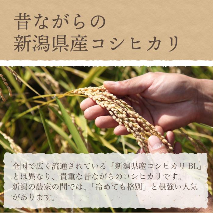 新潟県産 コシヒカリ 特別栽培米 24kg 令和6年産 新米 新潟県産 コシヒカリ 特別栽培米 24kg 令和6年産 新米