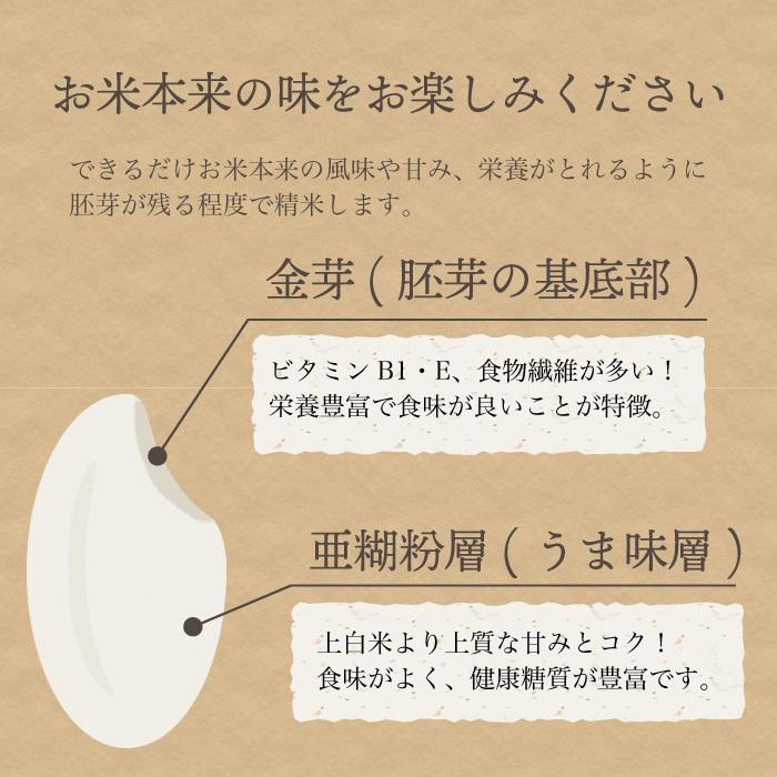 新潟県産 コシヒカリ 特別栽培米 24kg 令和6年産 新米 新潟県産 コシヒカリ 特別栽培米 24kg 令和6年産 新米