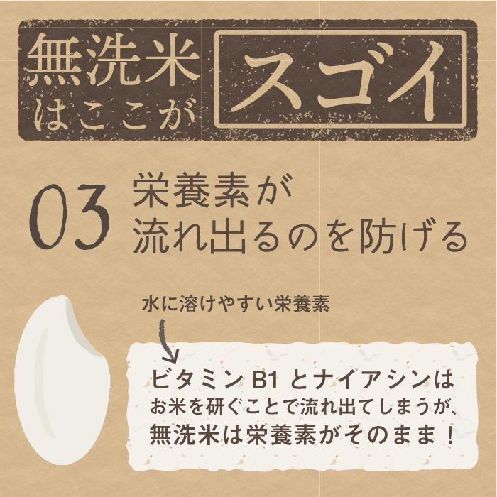 無洗米 減農薬栽培米 コシヒカリ 精米 5Kg 新潟県産 こしひかり｜magosaku-food｜05
