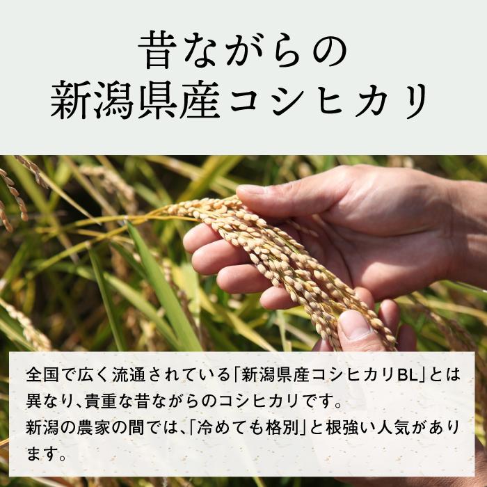 JAS認証 有機栽培玄米 無農薬 玄米 10kg 新潟県産 コシヒカリ 5kg×2袋 令和5年 こしひかり 玄米 10キロ 農家直送 お米｜magosaku-food｜10