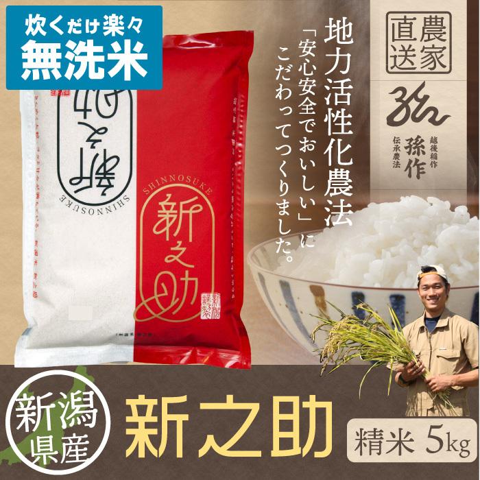 無洗米 新潟県産 新之助 白米 精米 5kg 令和6年産 新米 無洗米 新潟県産 新之助 白米 精米 5kg 令和6年産 新米
