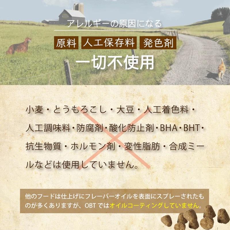 【在庫処分：賞味期限2027.7.25】 オーブンベークドトラディション グレインフリー フィッシュ ブリーダーパック大粒 13.6Kg OBTの画像