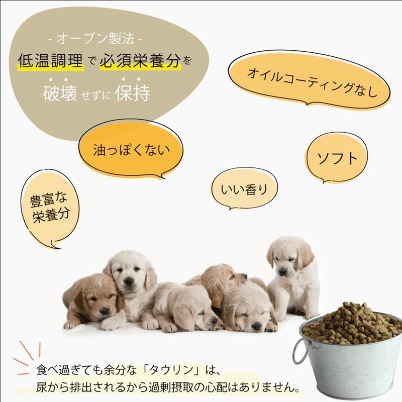 【在庫処分：賞味期限2027.7.25】 オーブンベークドトラディション グレインフリー フィッシュ ブリーダーパック大粒 13.6Kg OBTの画像