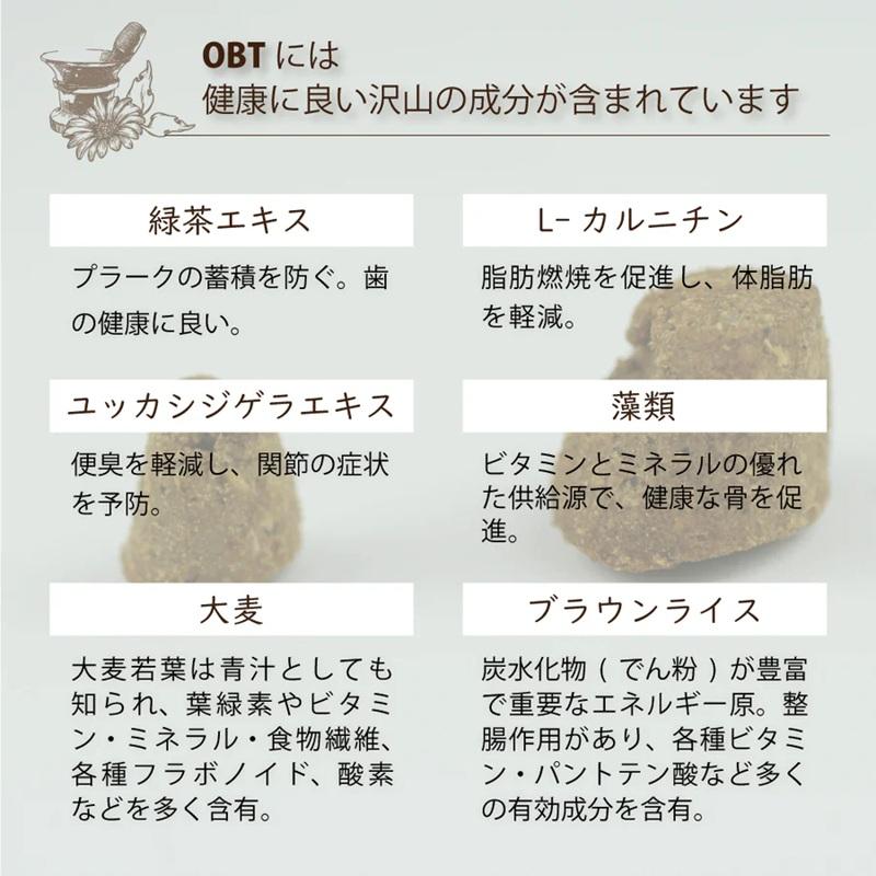 【在庫処分：賞味期限2027.7.25】 オーブンベークドトラディション グレインフリー フィッシュ ブリーダーパック大粒 13.6Kg OBTの画像