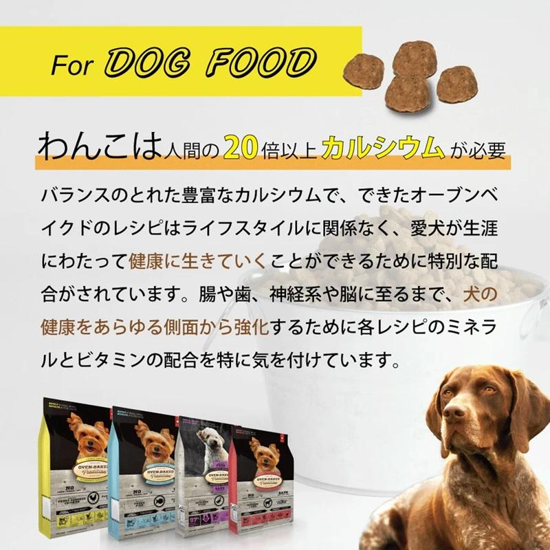 【在庫処分：賞味期限2027.7.25】 オーブンベークドトラディション グレインフリー フィッシュ ブリーダーパック大粒 13.6Kg OBTの画像