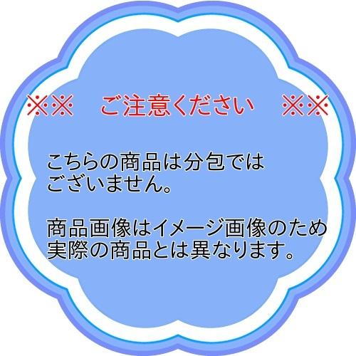 ホリスティックレセピー　猫用　チキン＆ライス　15Kg
