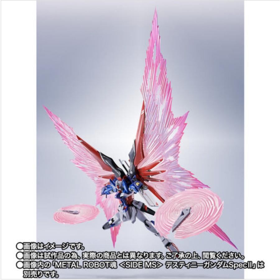 デスティニーガンダム SpecII メタルロボット魂 光の翼オプションセット METAL ROBOT魂 ＜SIDE MS＞ デスティニーガンダムSpecII専用光の