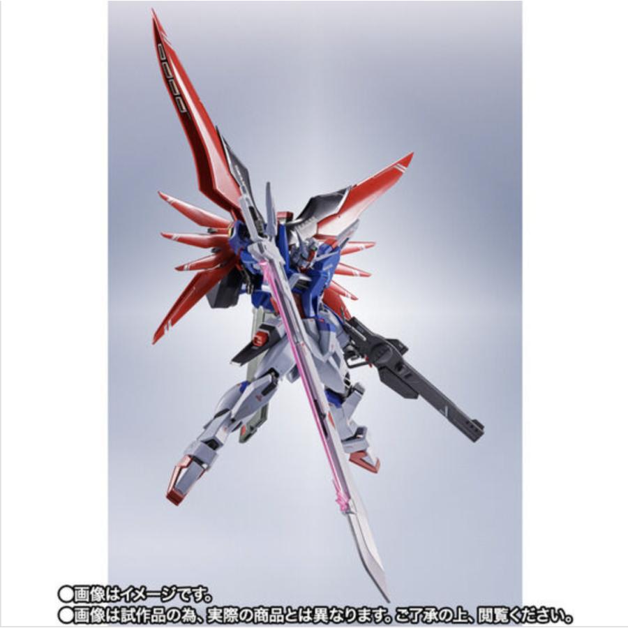 在庫品】METAL ROBOT魂 ＜SIDE MS＞ デスティニーガンダムSpecII