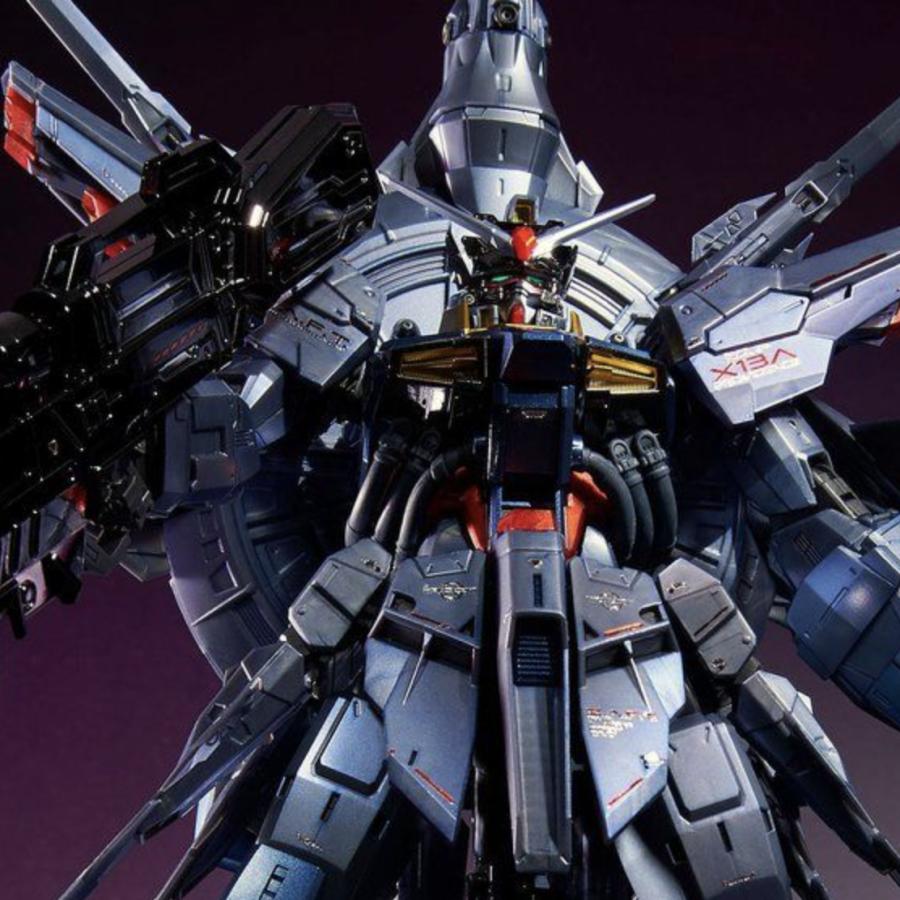MG 1/100 プロヴィデンスガンダム [スペシャルコーティング] MG プロヴィデンスガンダム ［スペシャルコーティング
