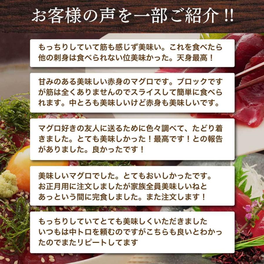 マグロ 刺身 訳あり 赤身  冷凍 ミナミマグロ 天然南まぐろ天身500g　筋少なめ｜maguro-fukuboh｜11