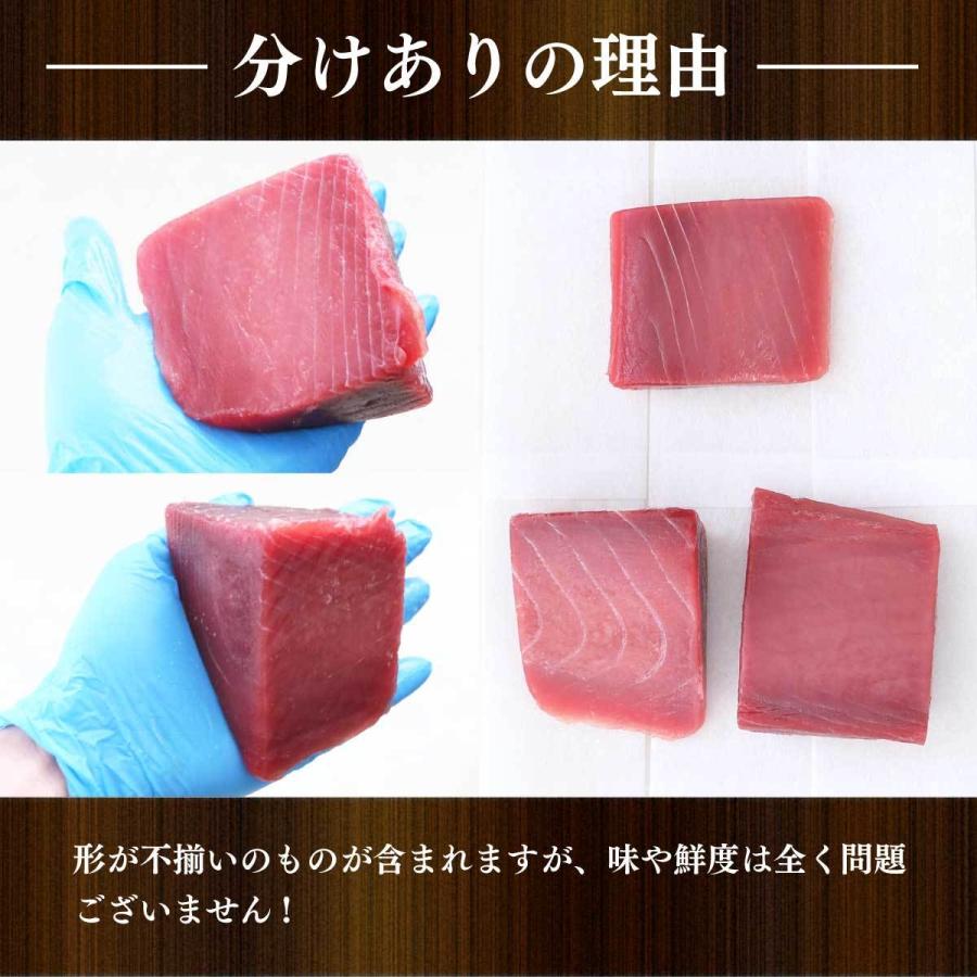 マグロ 赤身 訳あり 刺身 鮪 天然南まぐろ天身500g  筋少なめ 80191 | 焼津港 船元直営 福一 | 11