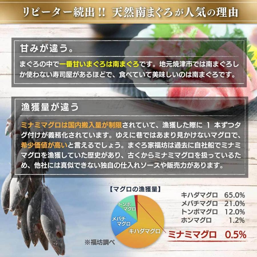 マグロ 赤身 訳あり 刺身 鮪 天然南まぐろ天身500g  筋少なめ 80191 | 焼津港 船元直営 福一 | 13