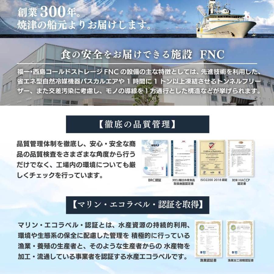 マグロ 刺身 訳あり 赤身  冷凍 ミナミマグロ 天然南まぐろ天身500g　筋少なめ｜maguro-fukuboh｜19