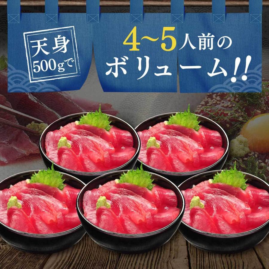 マグロ 赤身 訳あり 刺身 鮪 天然南まぐろ天身500g  筋少なめ 80191 | 焼津港 船元直営 福一 | 03