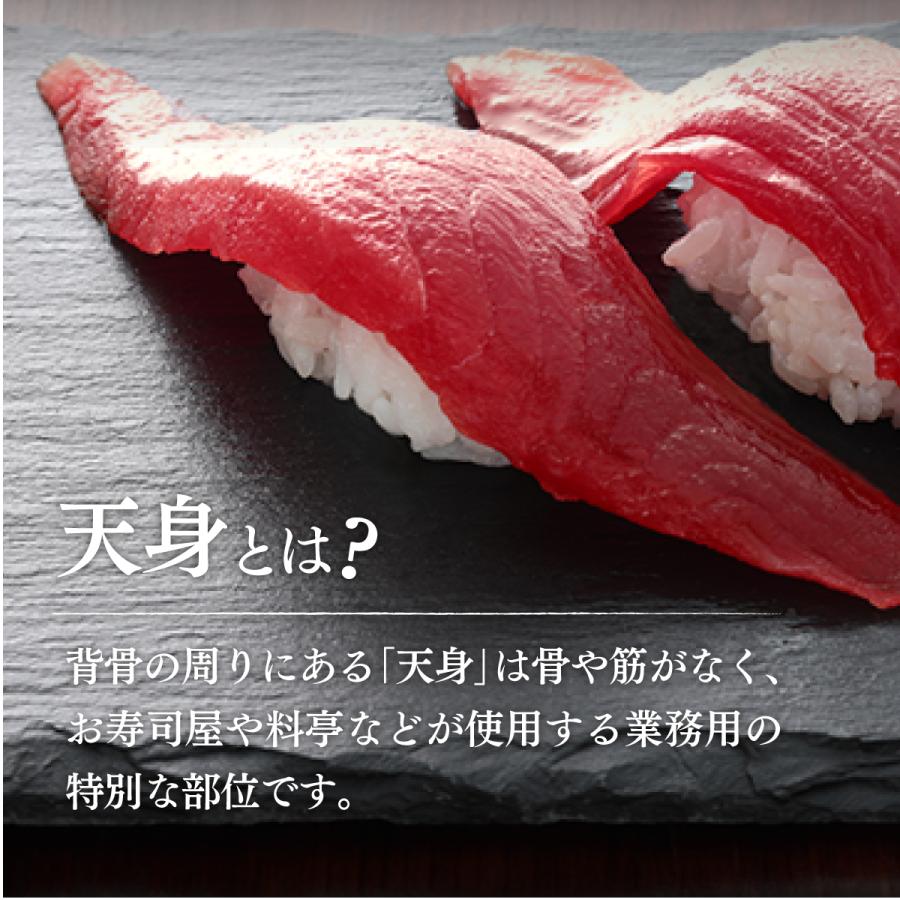 マグロ 赤身 訳あり 刺身 天身 天然本まぐろ天身500g 筋少なめ 80509