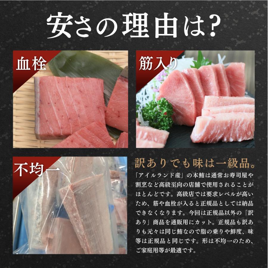 マグロ 赤身 訳あり 刺身 天身 天然本まぐろ天身500g 筋少なめ 80509