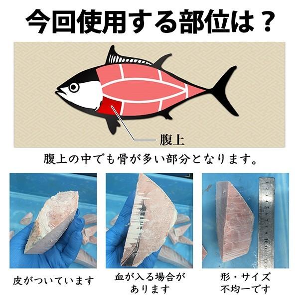 マグロ 訳あり 中トロ 刺身 端材 端っこ 養殖南まぐろ中トロぶつ切り用（すき身用）1ｋｇ   骨入 80523　（1梱包5個まで）｜maguro-fukuboh｜02