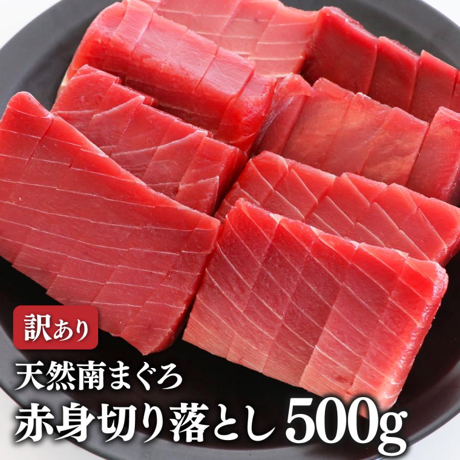 焼津港 船元直営 福一 マグロ 赤身 刺身 訳あり ミナミマグロ 鮪 天然