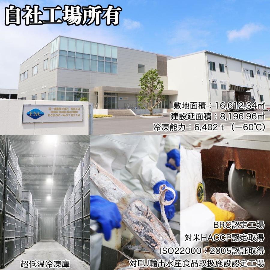 マグロ 訳あり 中トロ 天然南まぐろ 腹上中トロ1kg 刺身 80567 | 焼津港 船元直営 福一 | 13