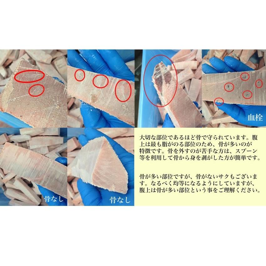 マグロ 訳あり 中トロ 天然南まぐろ 腹上中トロ1kg 刺身 80567 | 焼津港 船元直営 福一 | 09