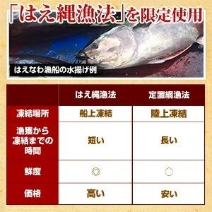 マグロ 刺身 中トロ 訳あり 本マグロ 腹上中トロ1kg ワンランク上の中