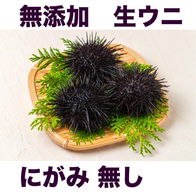 最上級【Aランク無添加 生うに】200g (100g入り×2箱) 黒い御重 ギフト向け豪華仕様でお届け｜maguro-miyako｜03