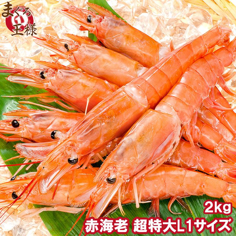 赤海老 赤えび 2kg 超特大 L1 20〜40尾 業務用 1箱 赤エビ あかえび