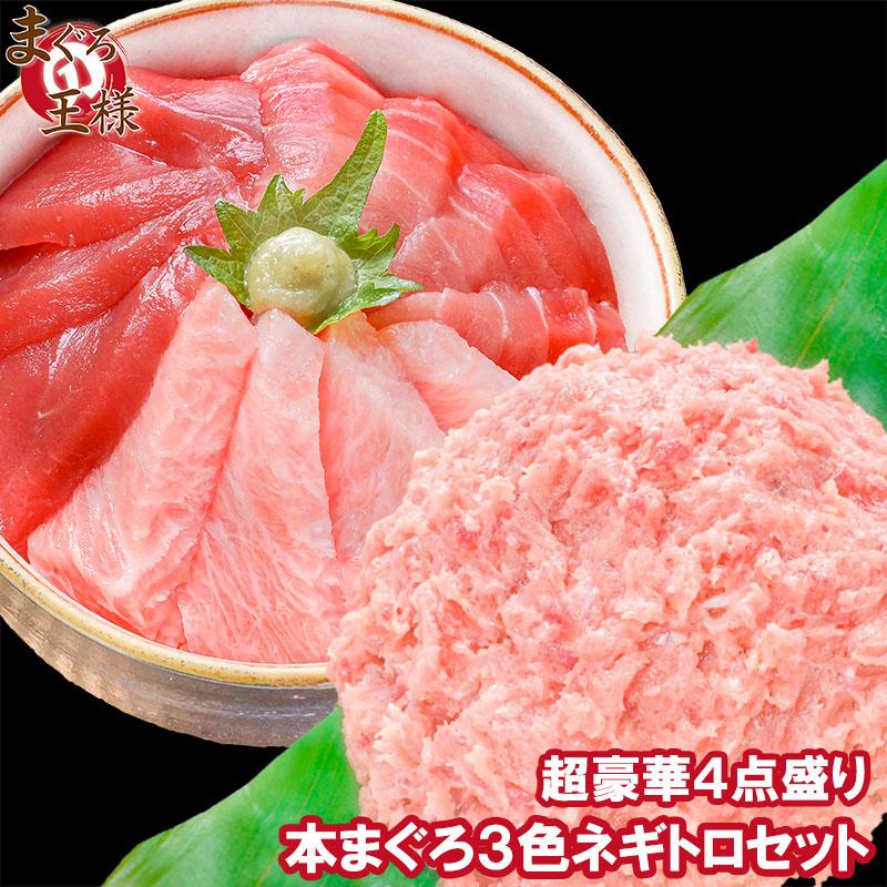 新品即決 本まぐろ 本マグロ 大トロ 中トロ 赤身 各0g 超豪華3色セット ネギトロ500g マグロ まぐろ 鮪 刺身 H3s Negitoro マグロ問屋 まぐろの王様 Yahoo 店 通販 Yahoo ショッピング 美しい Blog Lonolife Com