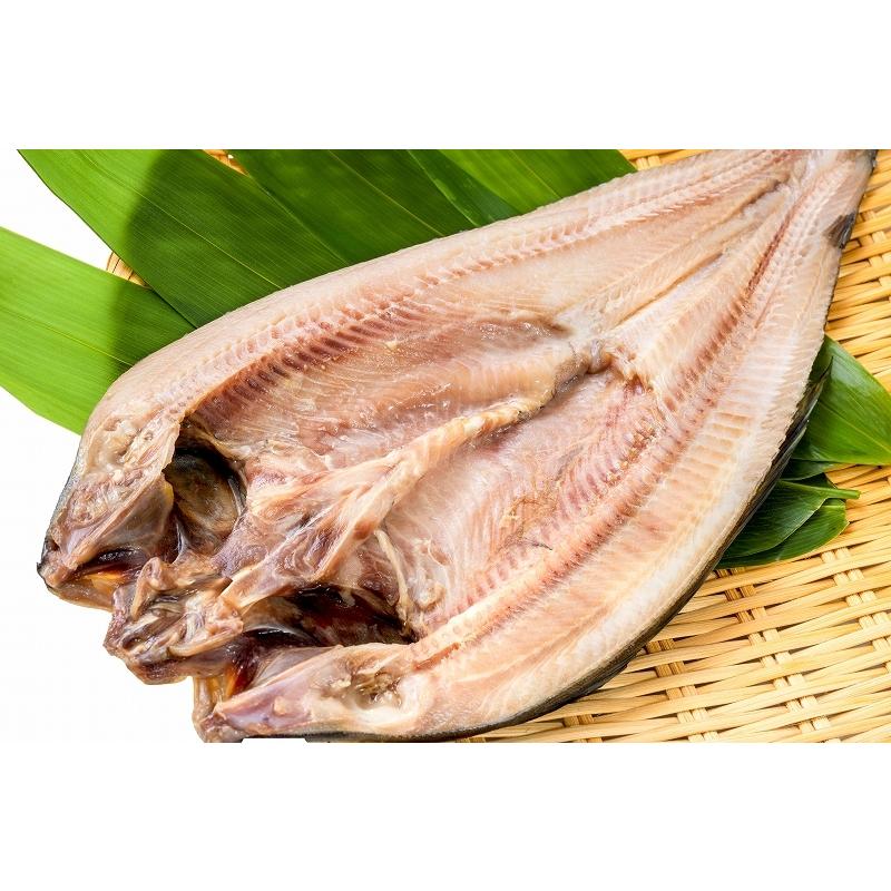 ほっけ ホッケ 縞ほっけ 超特大サイズ 1枚 ５パック 塩焼き 焼魚 焼き魚 定番 業務用 肉厚 特大 ほっけの開き ギフト 切り身 q
