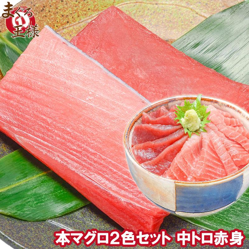 本まぐろ 本マグロ 中トロ0g 赤身0gセット 刺身 セットアップ マグロ まぐろ 本鮪