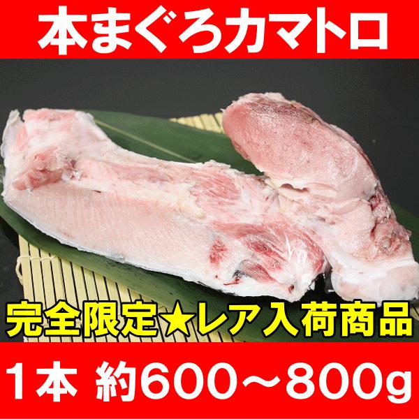 本まぐろ カマトロ  (カマトロ まぐろ マグロ 鮪) 単品おせち 海鮮おせち｜maguro-ousama