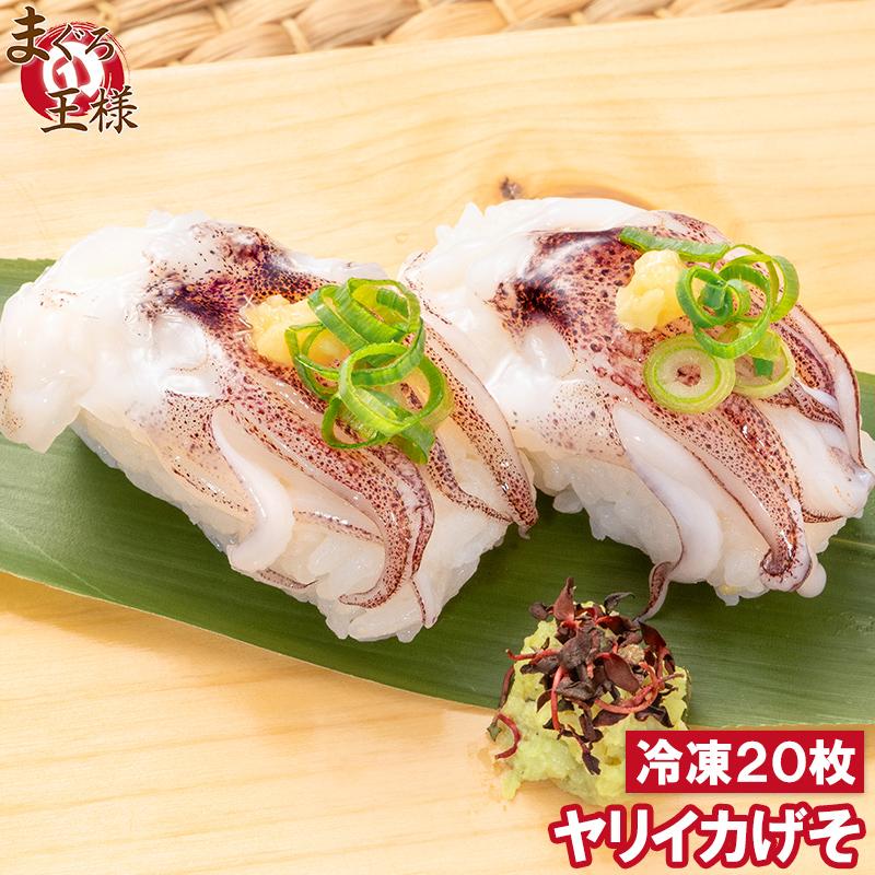 ヤリイカげそ 20枚 (寿司ネタ 刺身用イカゲソ いか下足 イカ下足) :ikageso-sushi-20p:マグロ問屋 まぐろの王様 Yahoo!店  - 通販 - Yahoo!ショッピング