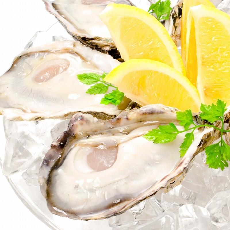 生牡蠣 殻付き 生食用カキ 48個入り 冷凍殻付き牡蠣 生食用 Kara Kaki 4p マグロ問屋 まぐろの王様 Yahoo 店 通販 Yahoo ショッピング