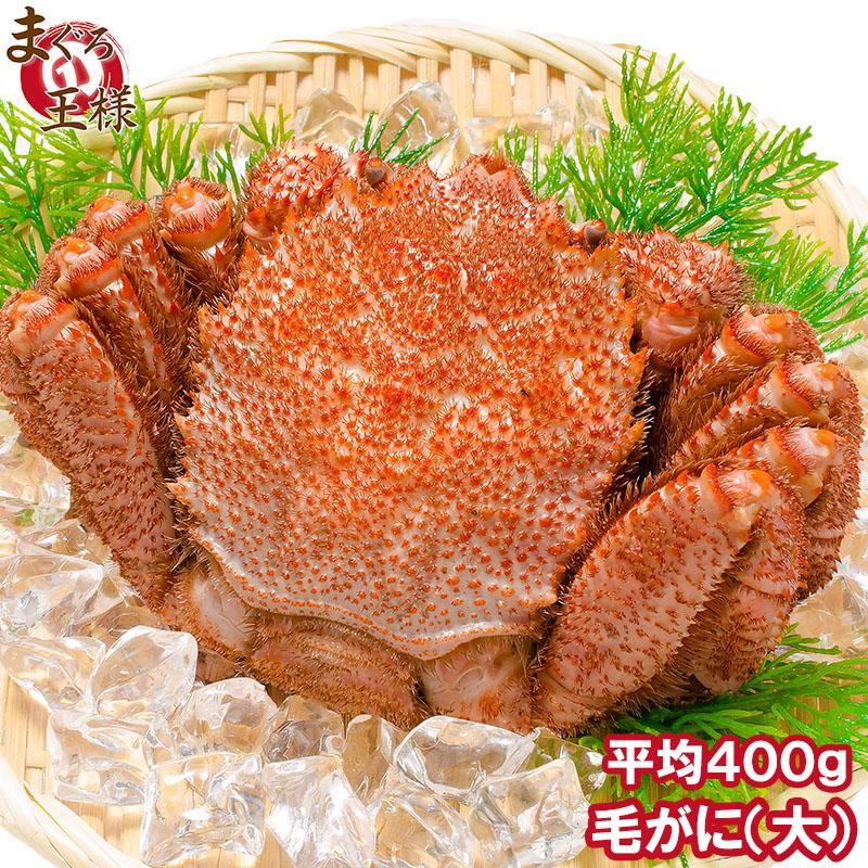 毛ガニ 毛がに 毛蟹 浜茹で 毛ガニ姿 平均 400g 1尾 かに カニ 蟹 かに鍋 焼きガニ Kegani 400g 1p マグロ問屋 まぐろの王様 Yahoo 店 通販 Yahoo ショッピング
