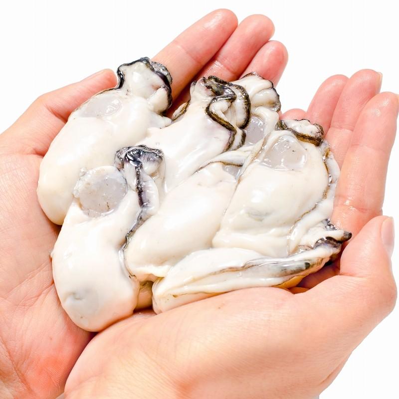 大特価 送料無料 生牡蠣 2kg 生食用 カキ かき 牡蠣 冷凍時1kg 解凍後850g 2パック 冷凍 むき身 なんと冷凍なのに生食ｏｋの生牡蠣 鮮度抜群で好きな時に食べられる瀬戸内海産のプリプリ生牡蠣を是非一度 老舗牡蠣メーカーが育てる濃厚で食べ応え抜群の牡蠣 築地で