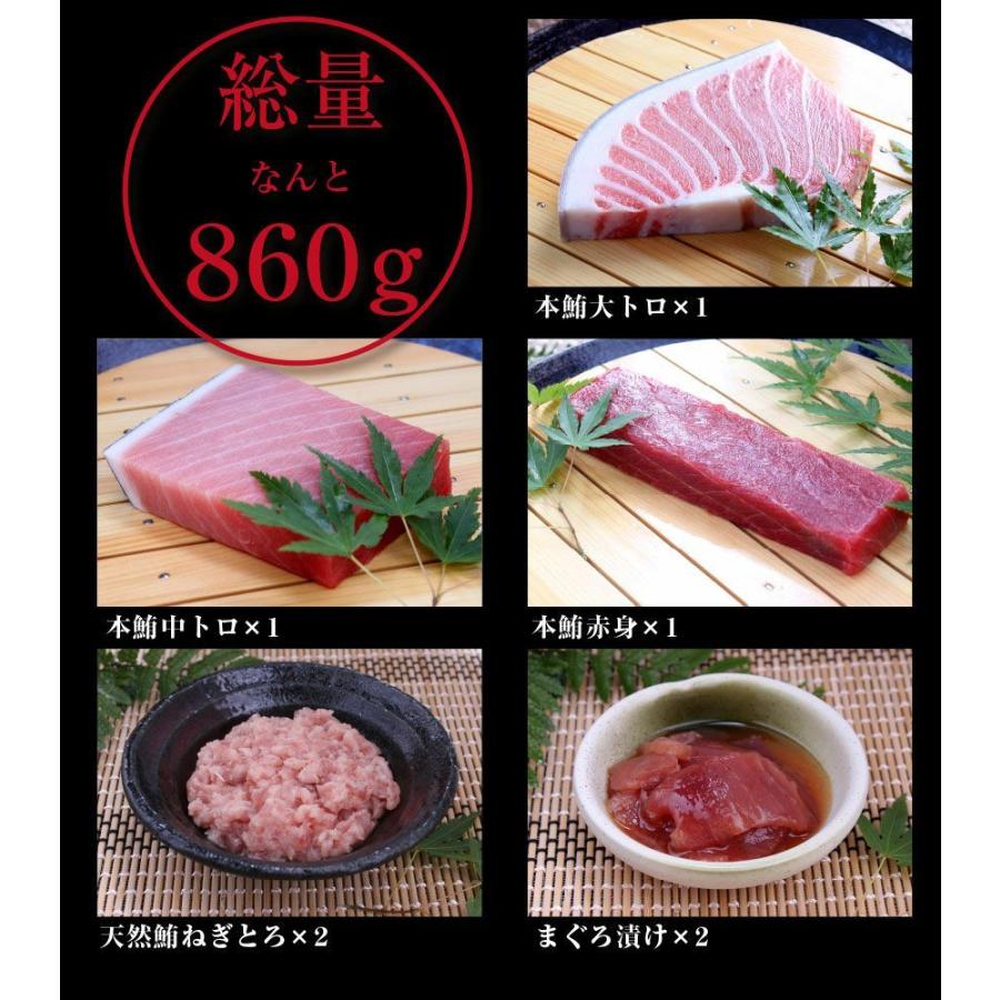 お歳暮 海鮮 ギフト セット 送料無料 本鮪 大トロ 中トロ 赤身 ネギトロ マグロ漬け 食べ比べ 福袋 解凍レシピ付 父の日 御祝 内祝 誕生日 ブロック Gd109 マグロの吉井 Yahoo 店 通販 Yahoo ショッピング