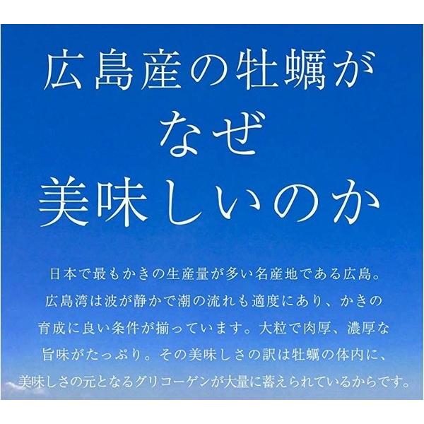 牡蠣 カンカン焼き 殻付き カキ 冷凍 セット 総重量3kg 広島県産 海鮮 食材 かき 貝類 100g以上 約22個前後 3〜4人前 ガンガン焼き バーベキュー お花見 歓迎会｜maguro441｜03