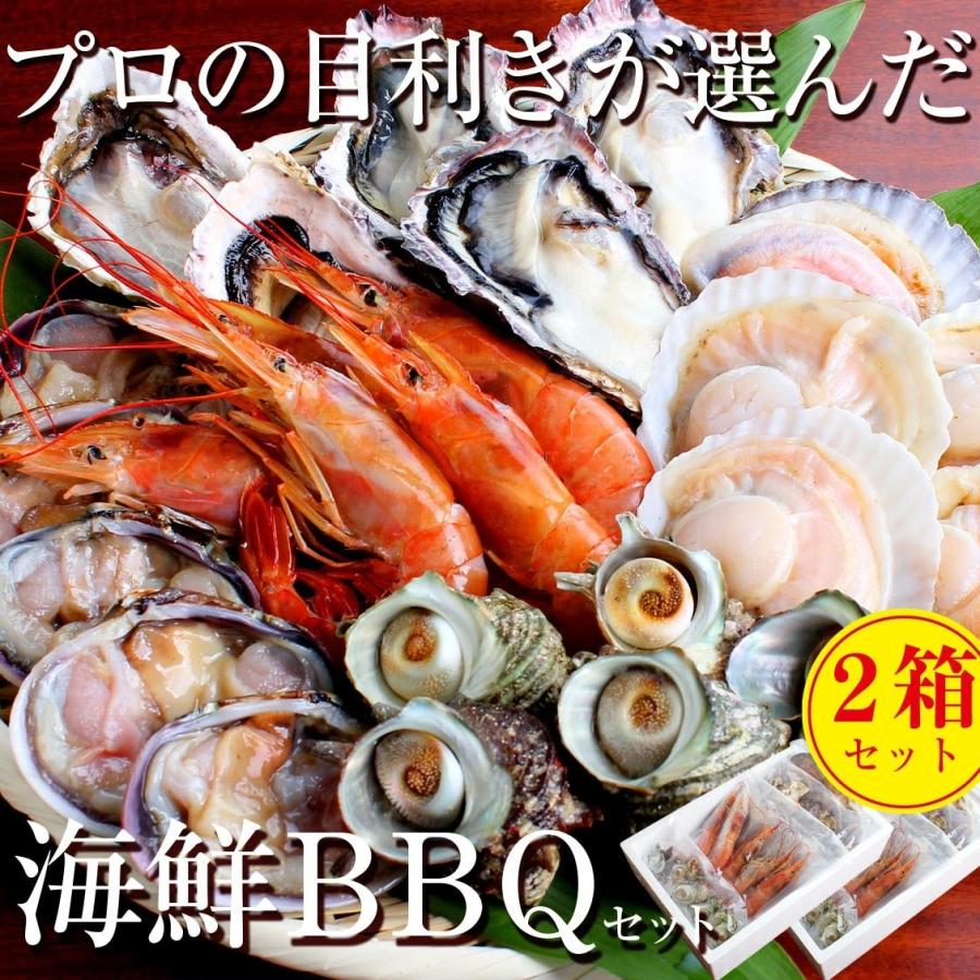 最安 お得 ２箱セット 海鮮 バーベキュー セット 赤海老 殻付き 牡蠣 帆立 大アサリ サザエ 4 6人前 貝類 q 家キャン 正規品 Iniciatupyme Cl