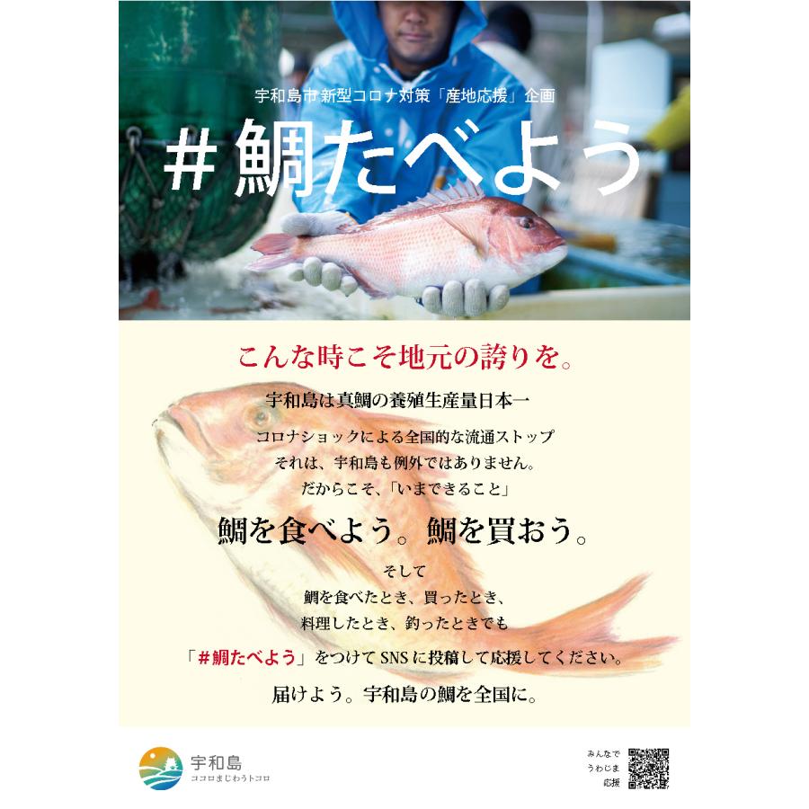 鯛の海鮮飯 60g×5袋 海鮮セット 海鮮丼 鯛めし 茶漬け 鯛 タイ 切り身 刺身 ごはん gd41｜maguro441｜11